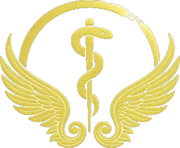 Pokorný Fyzioterapie